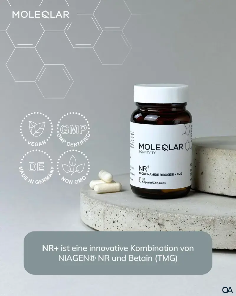 MoleQlar Longevity NR+ (Nicotinamid Ribosid + TMG) Kapseln