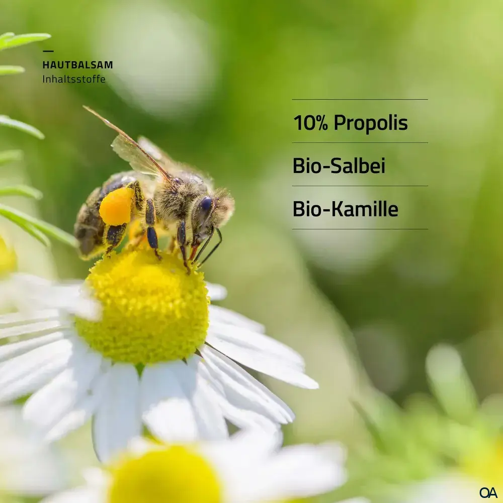 beecraft® Propolis Hautbalsam