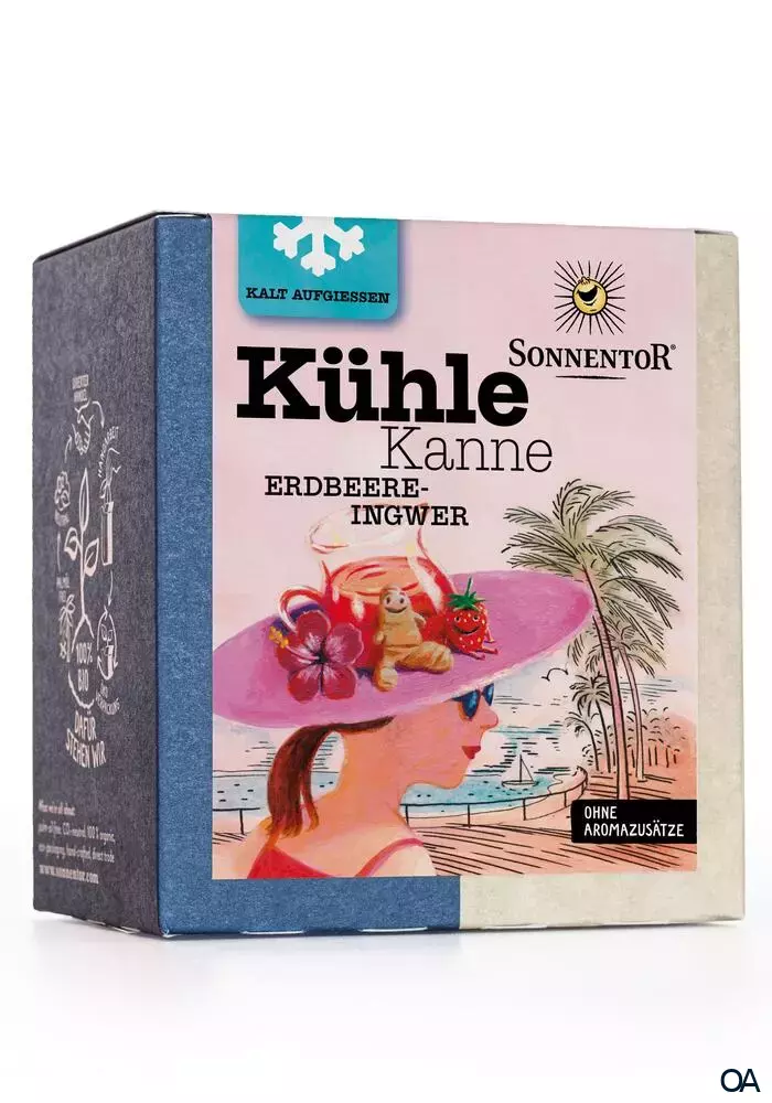 Sonnentor Kühle Kanne Erdbeere-Ingwer Tee Pyramidenbeutel