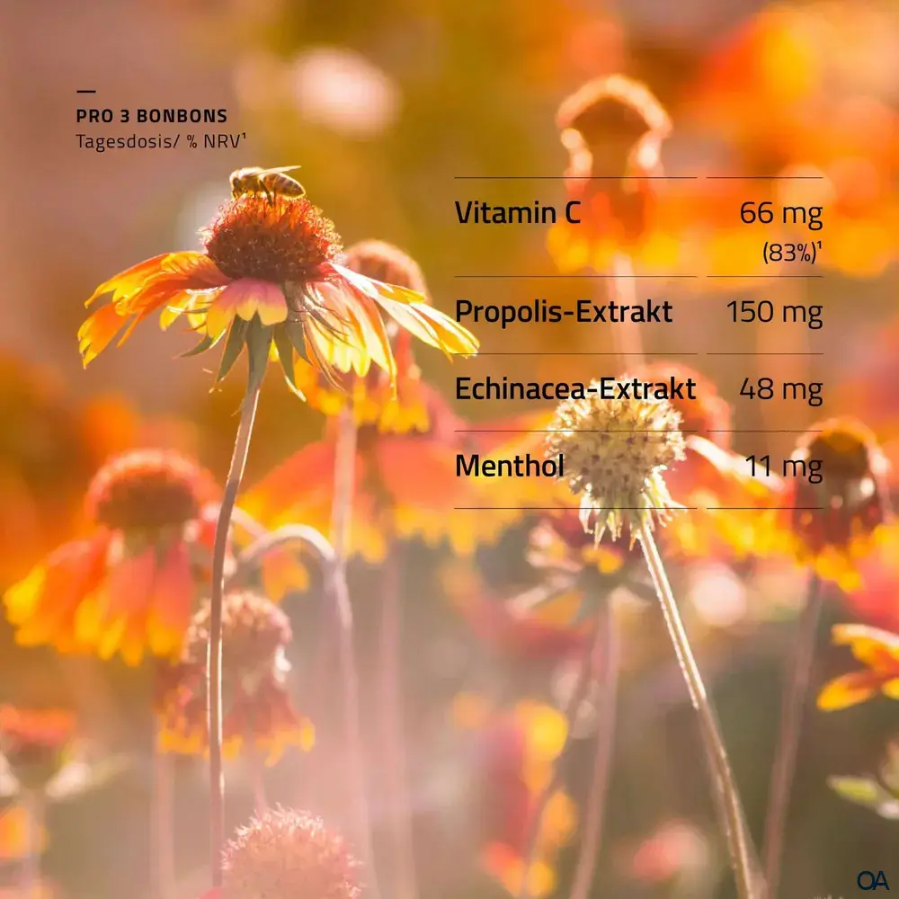 beecraft® Propolis Hustenbonbons