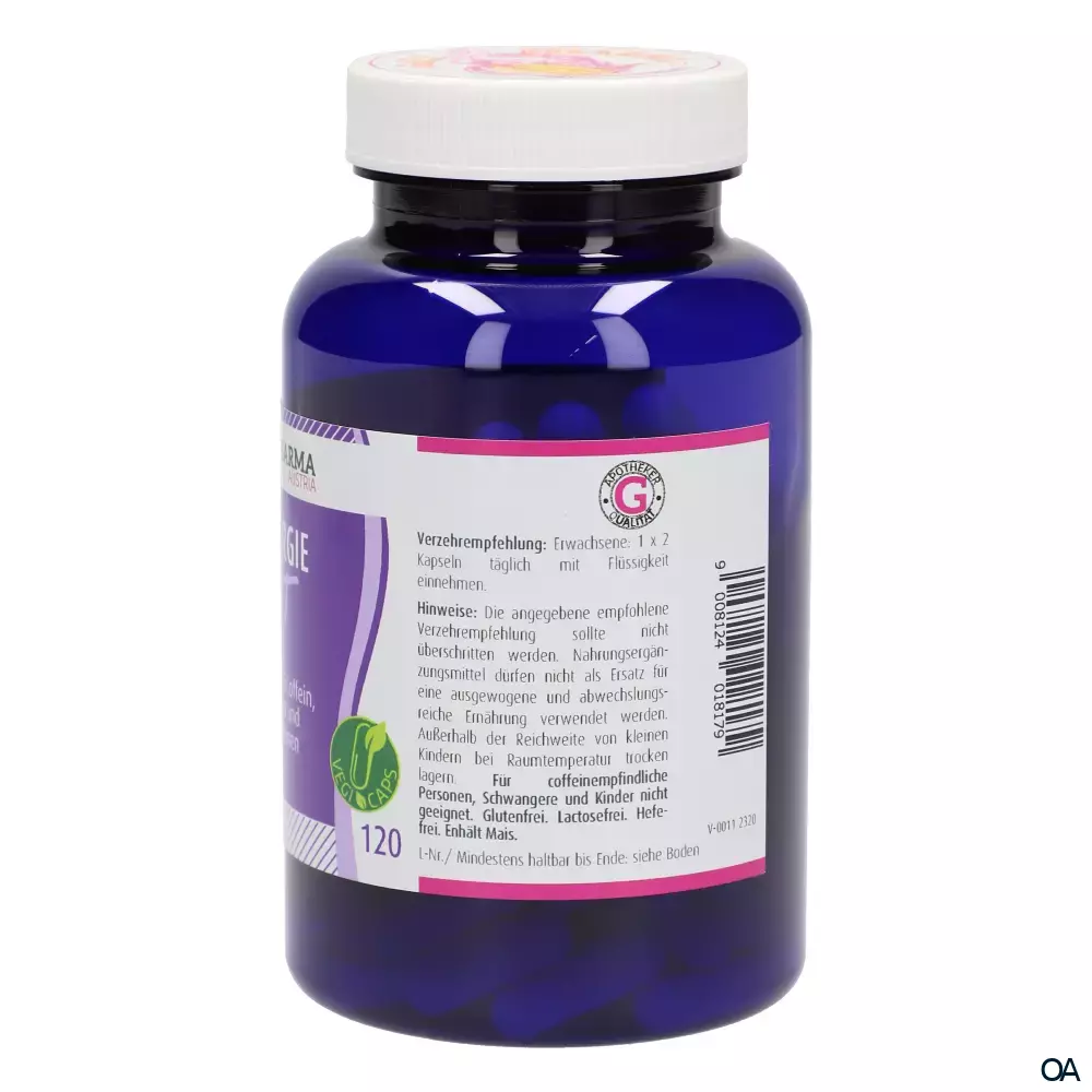 Gall Pharma Energie Fit Kapseln