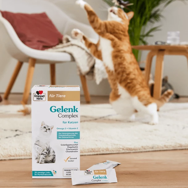 DOPPELHERZ GELENK Complex KATZE