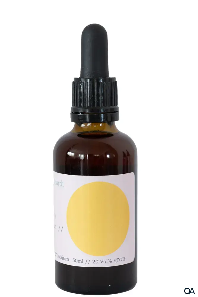 K.M. Burkhardt Elixier „Feel Healthy“ Tropfen
