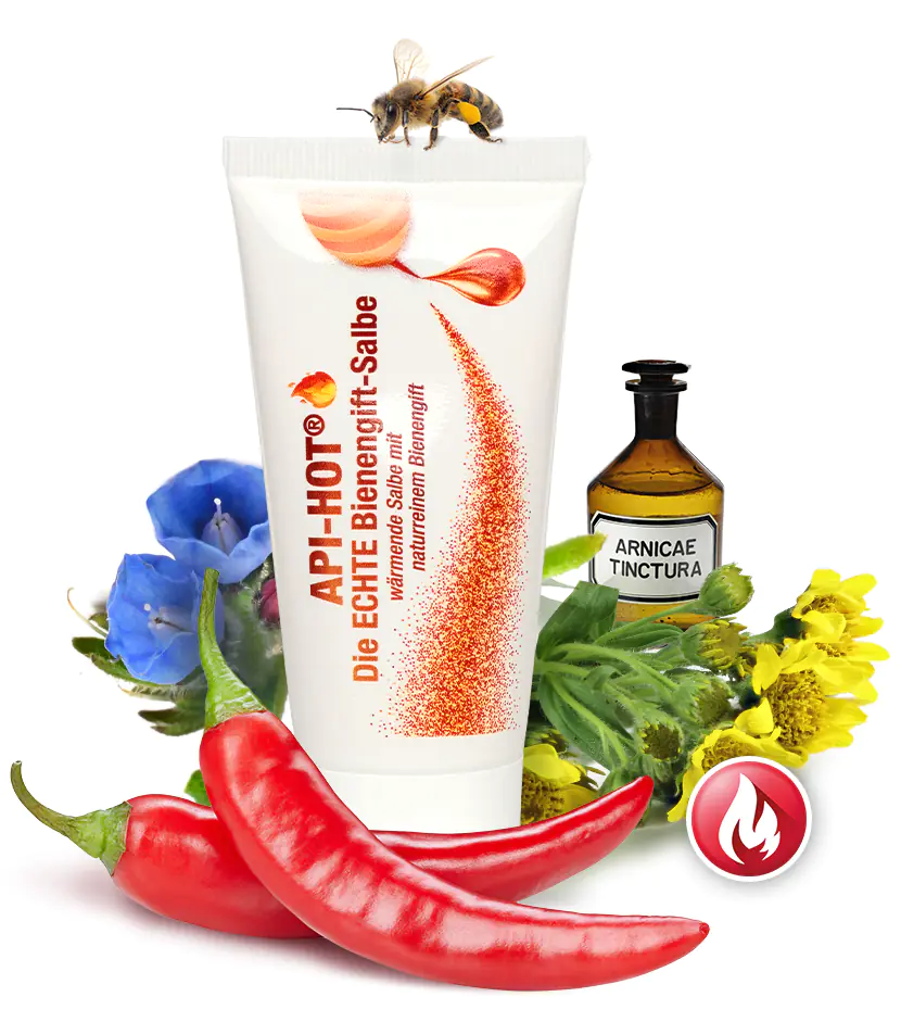 Die echte Bienengift-Salbe API HOT-REGENT