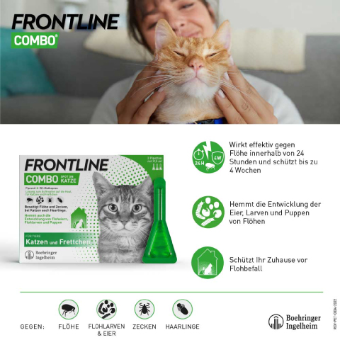 FRONTLINE KATZE/FRETTCHEN COMBO SPOT ON Pipette