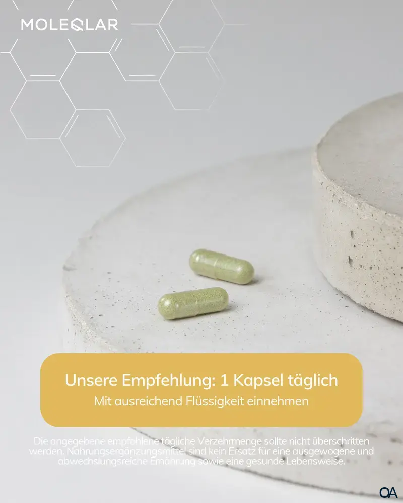 MoleQlar Longevity Spermidin PRO Kapseln