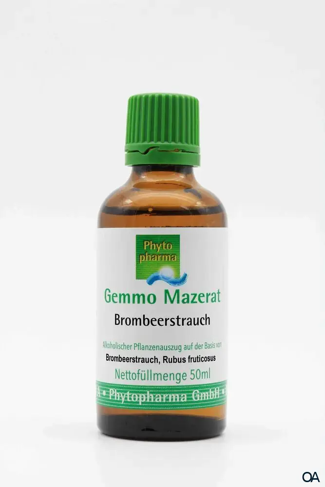 Phytopharma Gemmo Mazerat Brombeerstrauch Tropfen