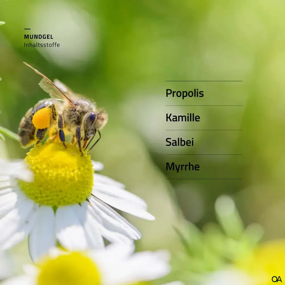 beecraft® Propolis Mundgel