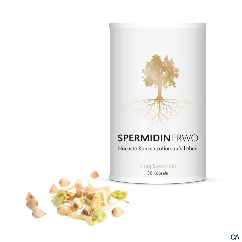 Spermidin ERWO 3 mg Kapseln