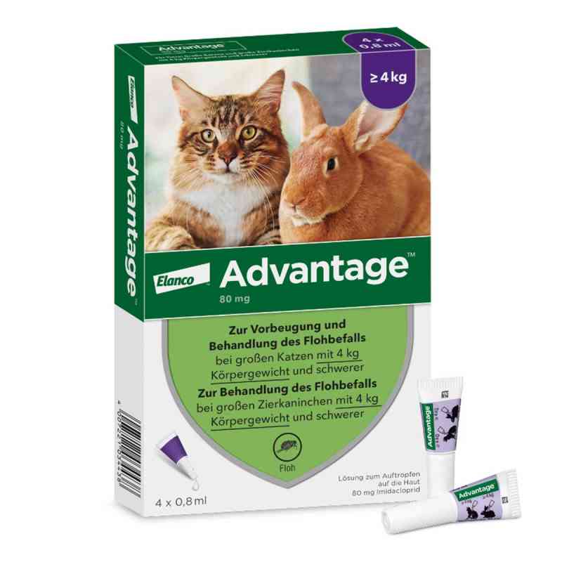 ADVANTAGE Spot on Katze 80MG ab 4KG