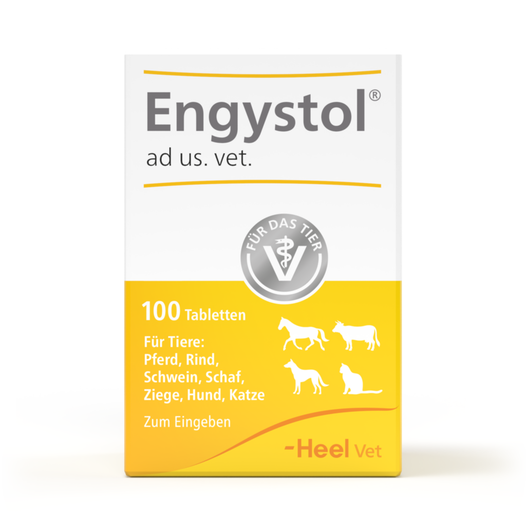 Engystol® ad us vet Tier Tabletten