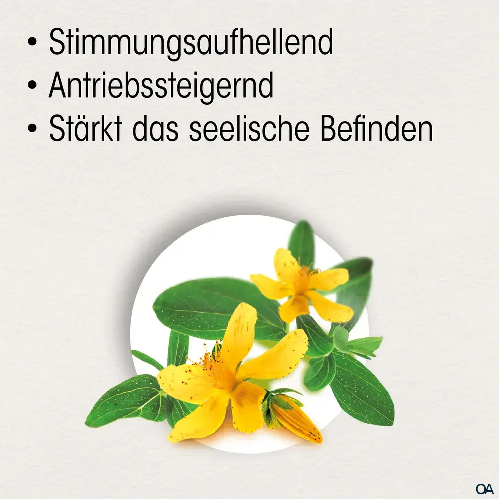 Dr. Böhm® Johanniskraut 425 mg Kapseln