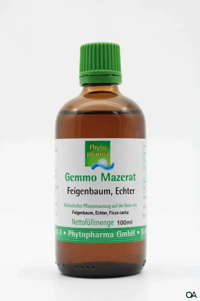 Phytopharma Gemmo Mazerat Echter Feigenbaum Tropfen