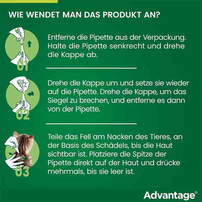 ADVANTAGE Spot on Katze 80MG ab 4KG