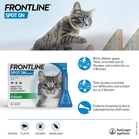 FRONTLINE KATZE SPOT ON Pipette