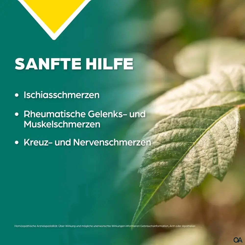 Apozema® Ischias Rhus toxicodendron complex Nr. 20 Tropfen zum Einnehmen