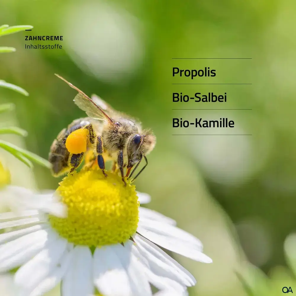 beecraft® Propolis Zahncreme