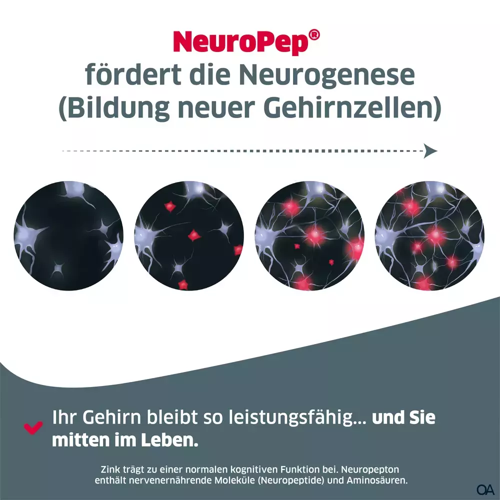 NeuroPep Neuropepton-Zink-Komplex Kapseln