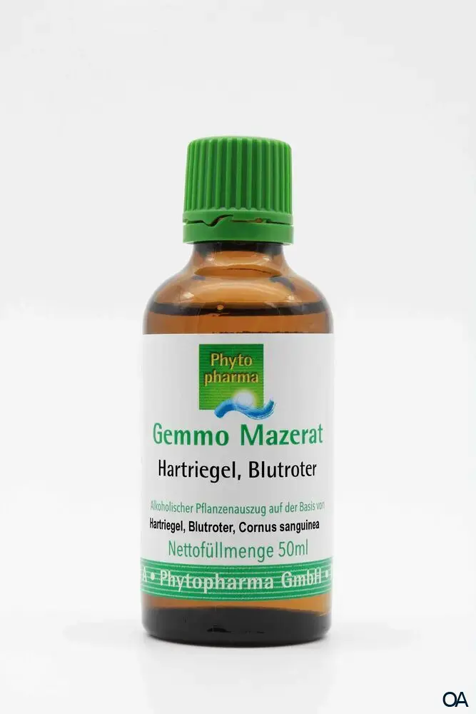 Phytopharma Gemmo Mazerat Blutroter Hartriegel Tropfen