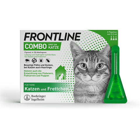 FRONTLINE KATZE/FRETTCHEN COMBO SPOT ON Pipette