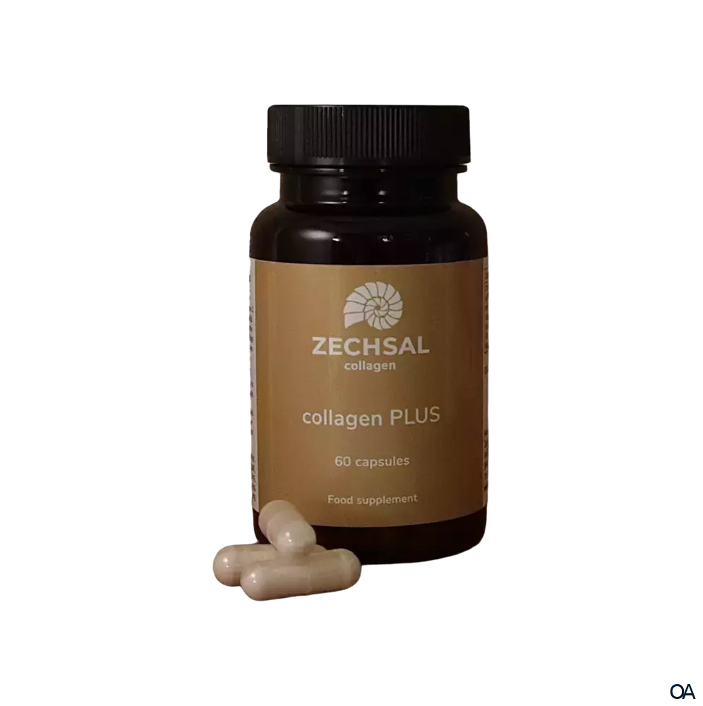 Zechsal Kollagen PLUS Kapseln