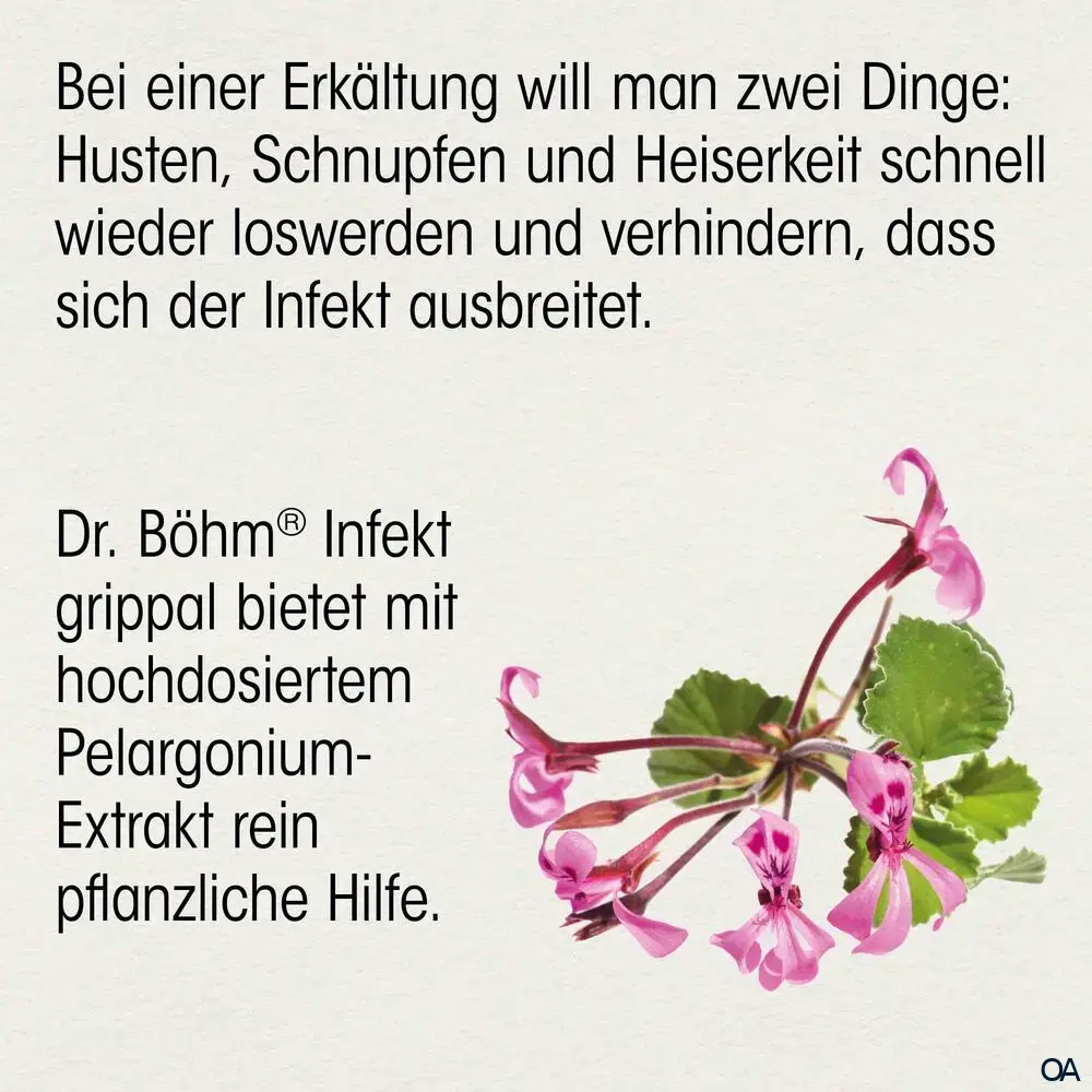Dr. Böhm® Infekt grippal Pelargonium 20 mg Filmtabletten