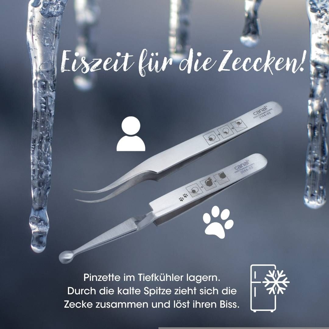 canal ZECKEN PINZETTE ROSTFREI FÜR MENSCHEN