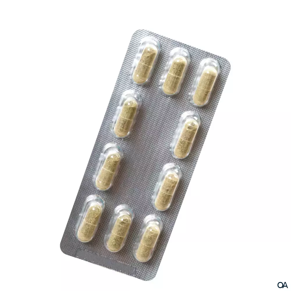 Salus® Freetox® Gerstengras-Birke Kapseln
