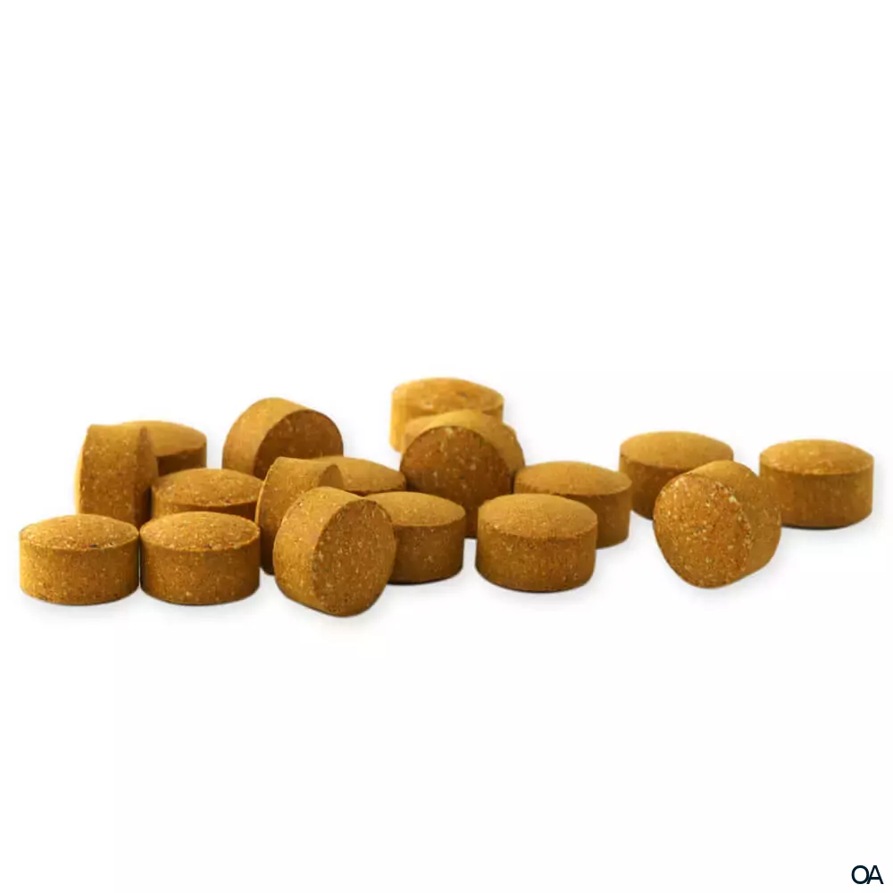 Raab® Vitalfood Bio Curcuma Tabletten