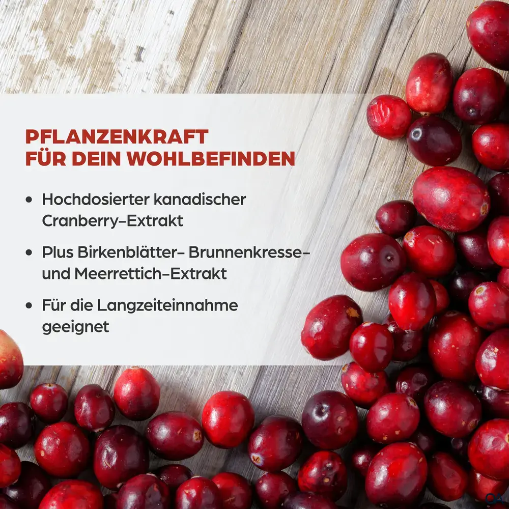 Dr. Böhm® Cranberry complex Tabletten