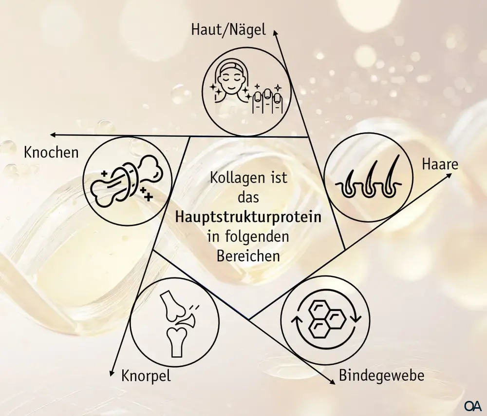 Burgerstein Collagen Pulver