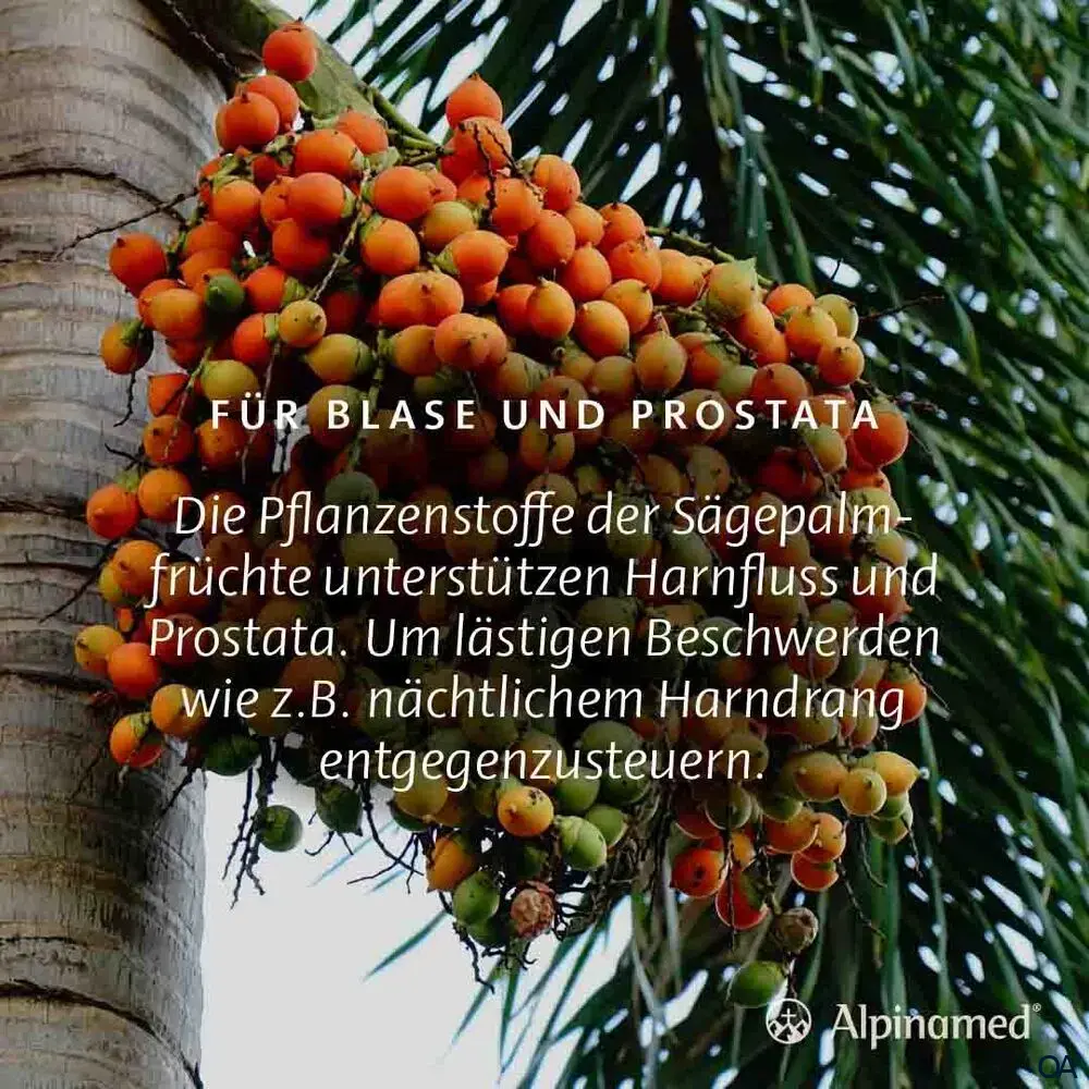 Alpinamed® Prosta Plus Kapseln