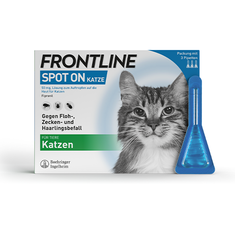 FRONTLINE KATZE SPOT ON Pipette