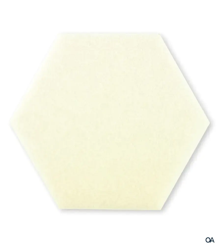 3M™ PROMOGRAN PRISMA™ Wundausgleichende Matrix 123 cm²