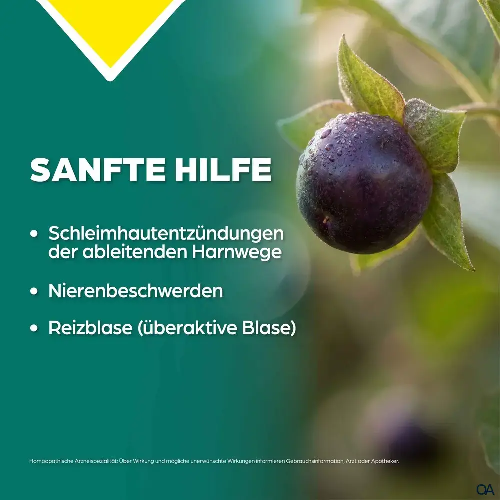 Apozema® Blasen- und Nieren Belladonna complex Nr. 9 Tropfen zum Einnehmen