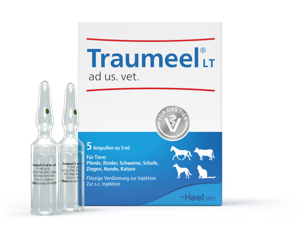 Traumeel LT Ampullen® ad us vet Tier