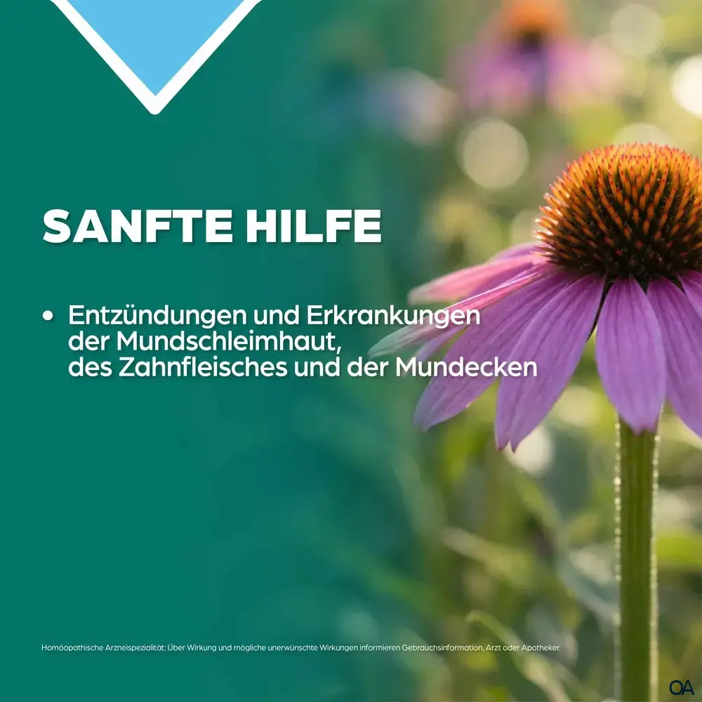 Apozema® Mund und Zahnfleisch Echinacea complex Nr. 23 Tropfen zum Einnehmen
