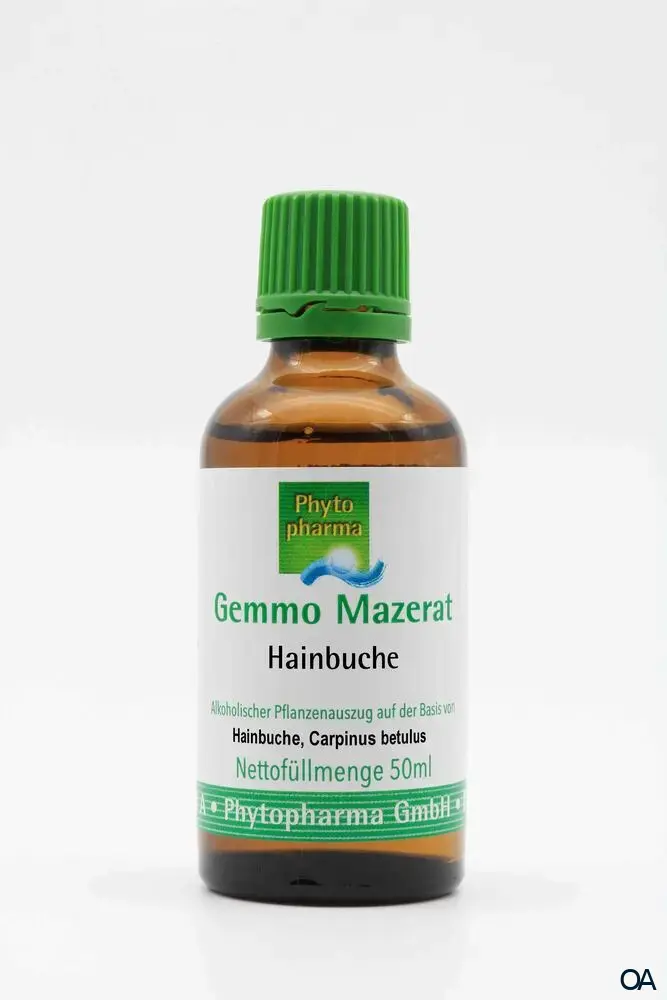 Phytopharma Gemmo Mazerat Brombeerstrauch Tropfen