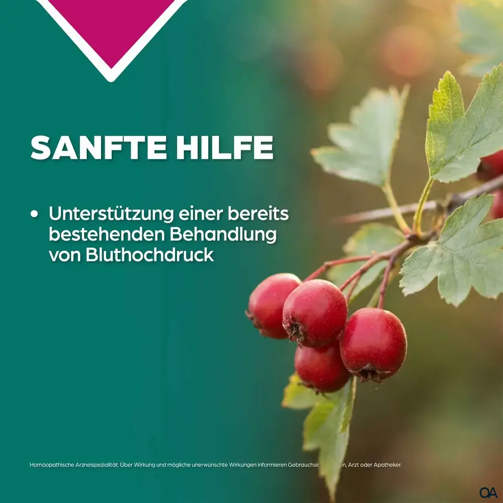 Apozema® Bluthochdruck Crataegus complex Nr. 10 Tropfen zum Einnehmen